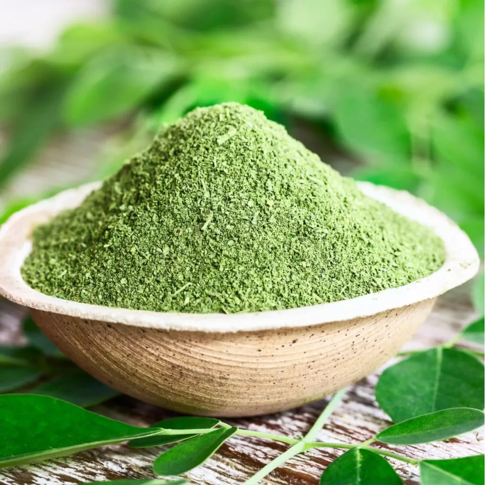 Moringa Powder — Close texture