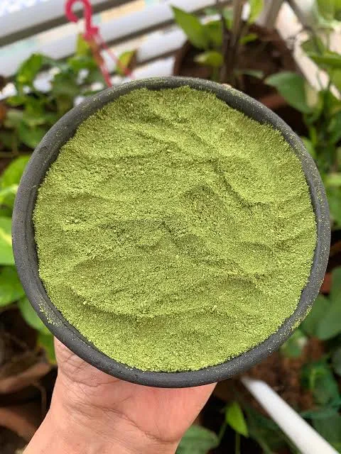 Moringa Powder — Packed presentation